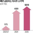 주주환원 확대 기대에 쏟아지는 배당 ETF 이미지