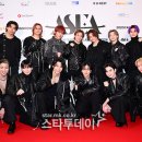 트라이브 이미지