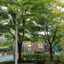 마곡엠밸리5단지(아) 이미지