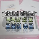 똑똑펫