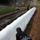 남화농장 이미지