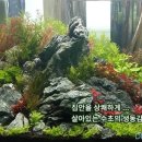 대명수족관