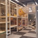 오리만찬 이미지