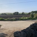 태성자동차농기계 이미지