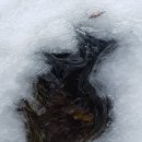 앙상블(ensemble) 이미지