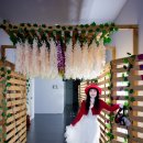 2024-05-19(일) 정기여행 보성녹차밭 &amp; 율포솔밭해수욕장 [ 미드카페지기리딩 ] 이미지