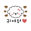 댕이룸 이미지