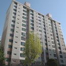 무궁화건영 이미지