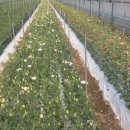 이상열농장 이미지