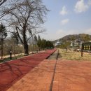 덕천빌딩~섬진철교 | 하동의 길