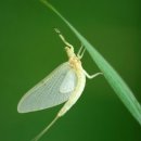 하남시보건소 이미지