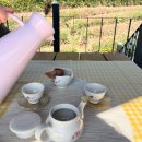 정자중학교 | 경남 하동 여행 녹차밭 카페 도심다원 예약없이 다녀온 후기