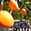 청명축산 이미지