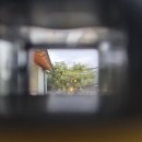 스테이물천 | [경주] 독채감성숙소 스테이물천 본채 후기