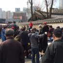 다판다진짜