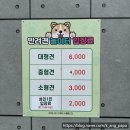 페블라썸 | 전주 애견 운동장 페블라썸 방문 후기(반려견 놀이터)