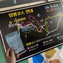 청수 곶자왈 | 제주도 청수 곶자왈 반딧불이 축제 후기 : 6월 한 여름 밤의 꿈