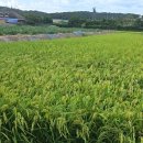9월 아동 내게 온 문화창고 | 충남 연산역 충남연산문화창고