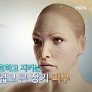 전신 건강을 해치는 피부 건강을 사수하라! 이미지