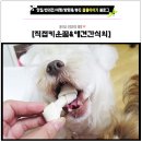 선경 양봉 | 꿀/애견간식 :: 몽깜이네 선경이의 애정