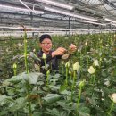 장미농장 이미지