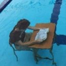 함초령팔당냉면 | [김포시 사우동 함초령 팔당냉면] 내돈내산 냉면 청국장 쭈꾸미 솔직후기