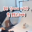 힌웍스 이미지