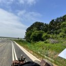 볼음저수지 | [강화 볼음도] 강화섬 도도하게 살아보기 2일차: 마을이야기 투어, 은행나무, 상합탕, 별자리체험