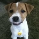 대승축산 | 스물한번째팔월