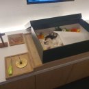 평안의료기 이미지