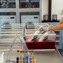 댕댕이 머리하는 날 이미지