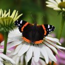 덕진태권도장 이미지