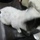 다루동물병원 이미지