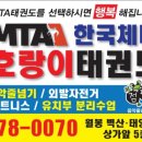 한국체대 호랑이 이미지