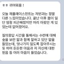소울펠리시티