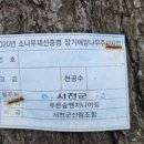 푸른숲산림엔지니어링