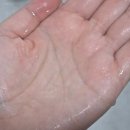 더펫 | 강아지산책 후 목욕데이 보다더펫샴푸 사용후기