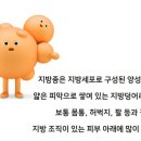 서초베스트외과의원 이미지