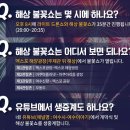 여수밤바다 불꽃축제 티스토리