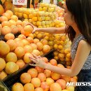 &#39;Netizen Photo News&#39; 2016. 8. 10(수) 이미지