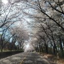 라이브 펜션 이미지