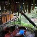 서산대사 옛길 이미지