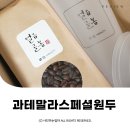 얼음골 봄 | 커피원두 추천 과테말라 스페셜원두 얼음골봄 ⓒ ᴍᴏᴀ sᴛᴏʀʏ