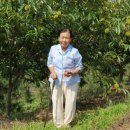 부운농장 이미지