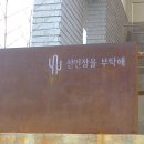 선인장을 부탁해 이미지