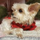 대동음향 이미지