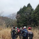 [도로]샘터 삼거리 이미지