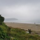 이일레민박 이미지