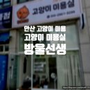 고양이 미용실 방울선생 이미지