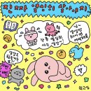 원더플 이미지